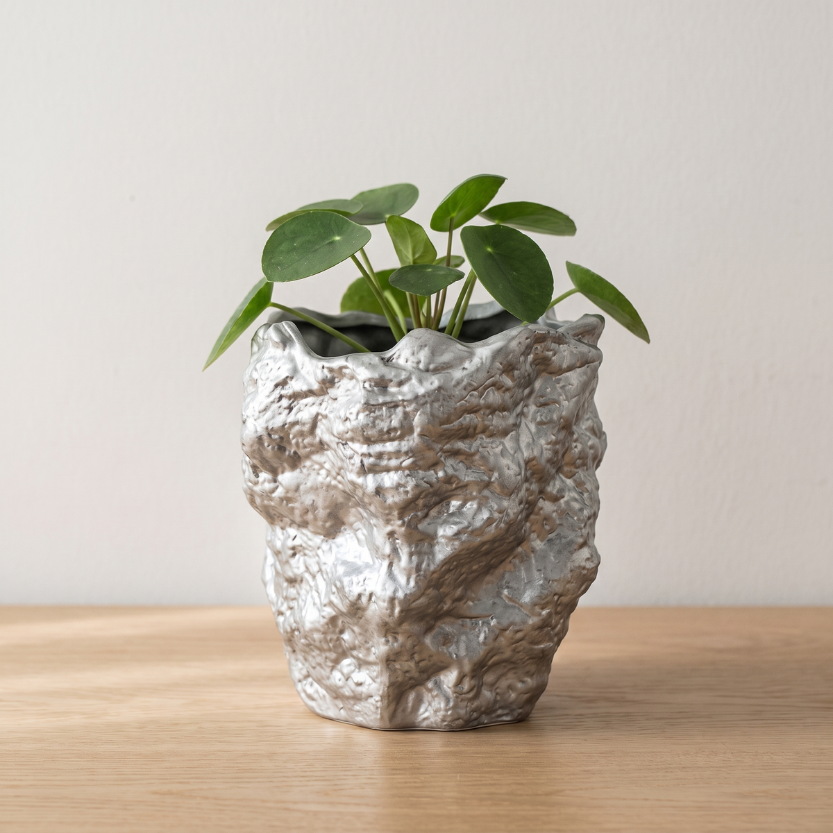 Irregular Ceramic Planter, Silver