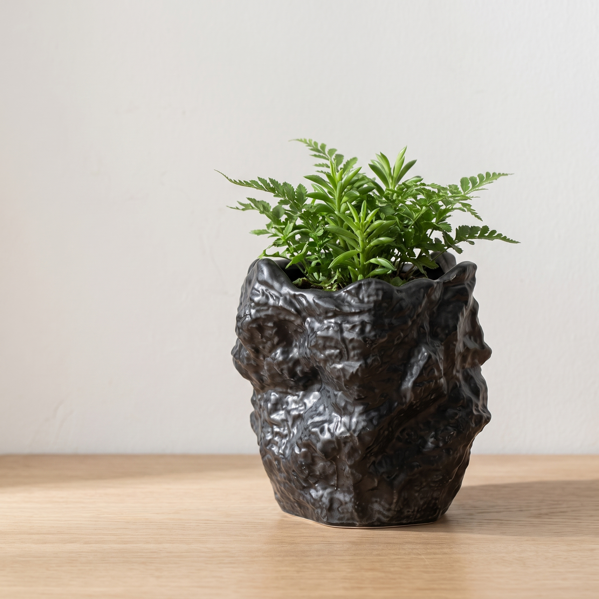 Irregular Ceramic Planter