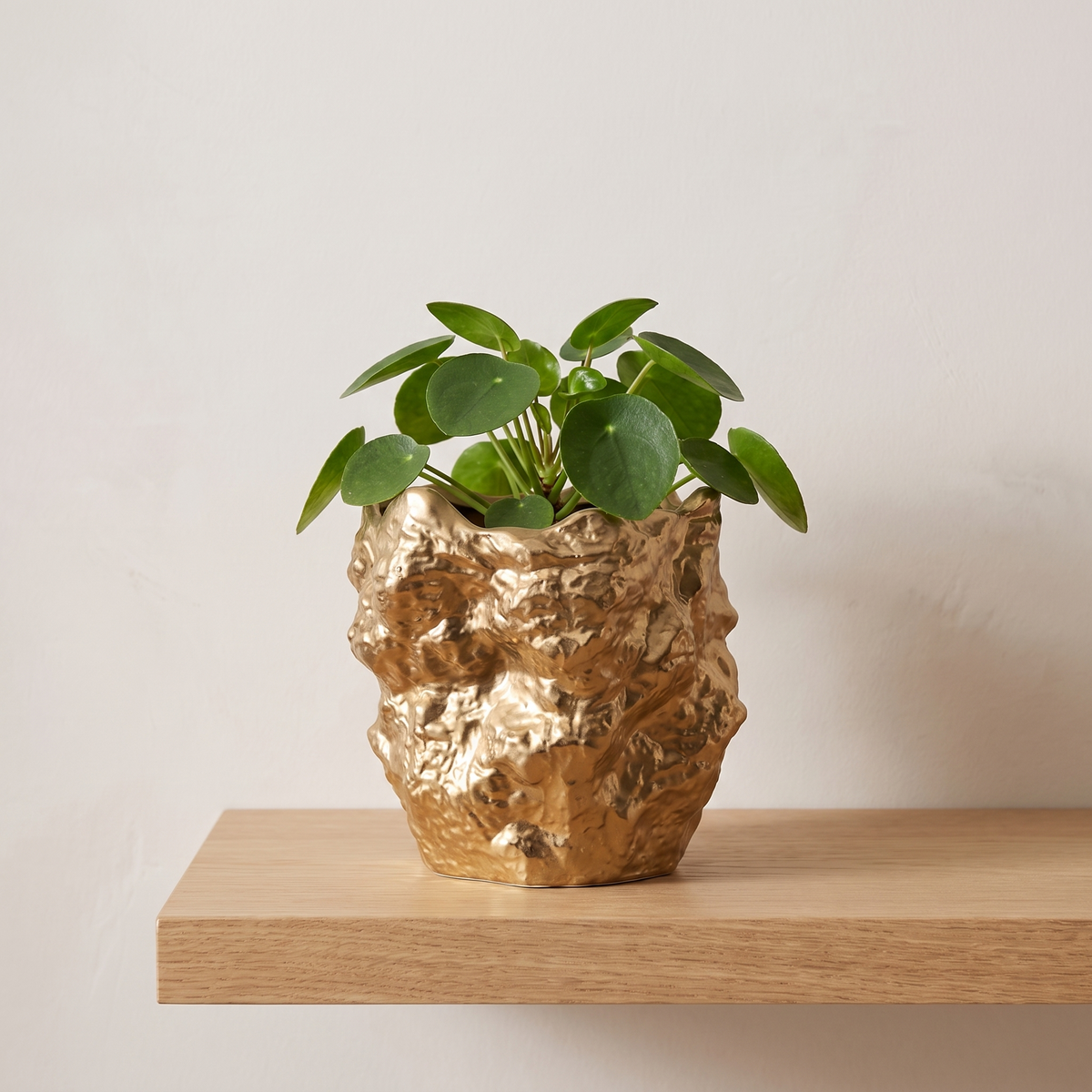 Irregular Ceramic Planter, Gold