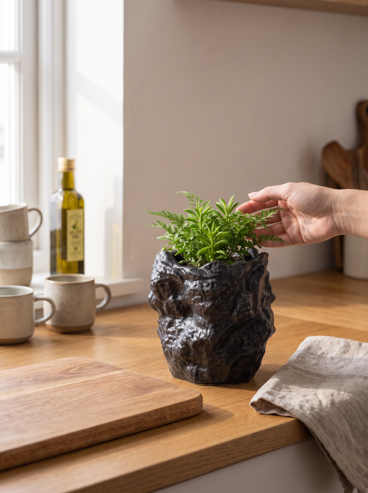 Succulent in a porous ceramic planter with gritty soil